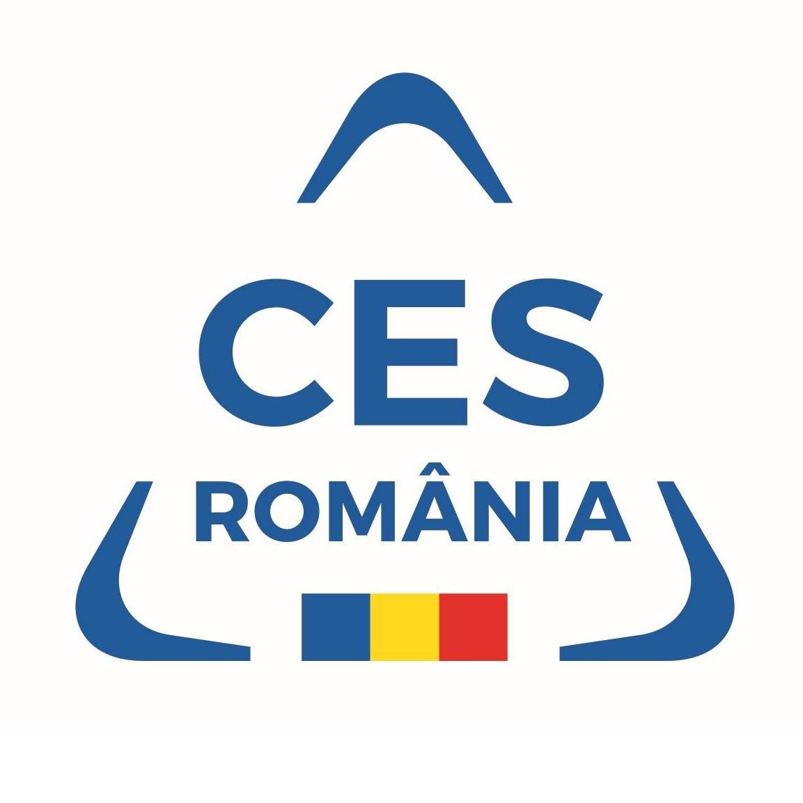 Consiliul Economic și Social